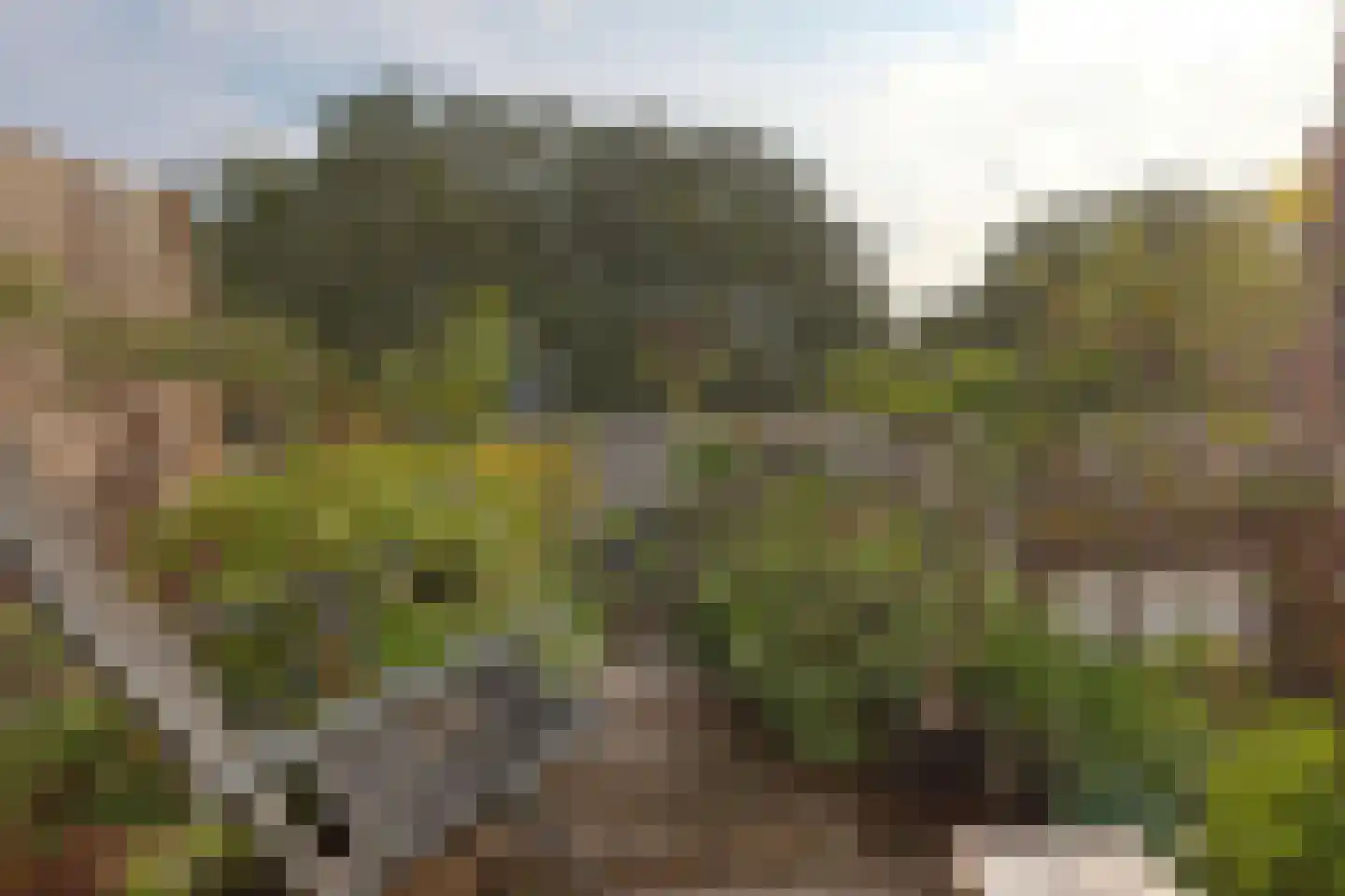 Ruysdaelkade 23 2 Amsterdam thumbnail 26