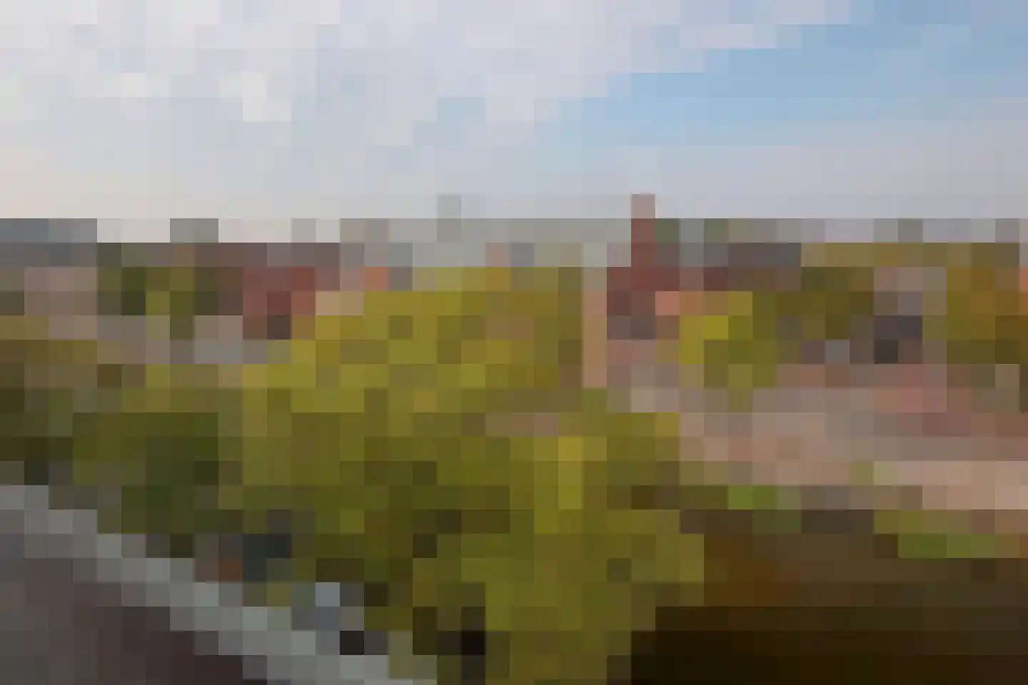 Ruysdaelkade 23 2 Amsterdam thumbnail 29