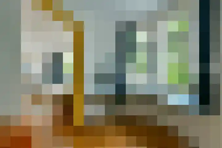Ruysdaelkade 271 A Amsterdam thumbnail 10