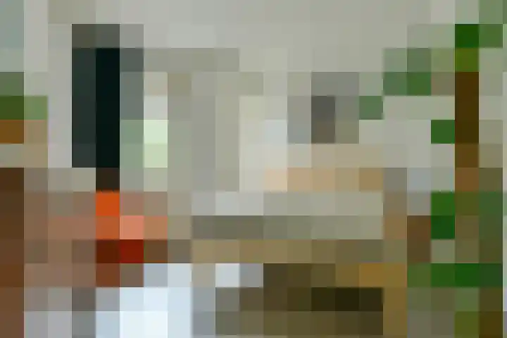 Ruysdaelkade 271 A Amsterdam thumbnail 13