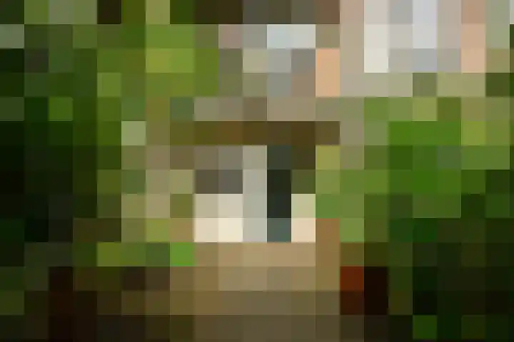 Ruysdaelkade 271 A Amsterdam thumbnail 16