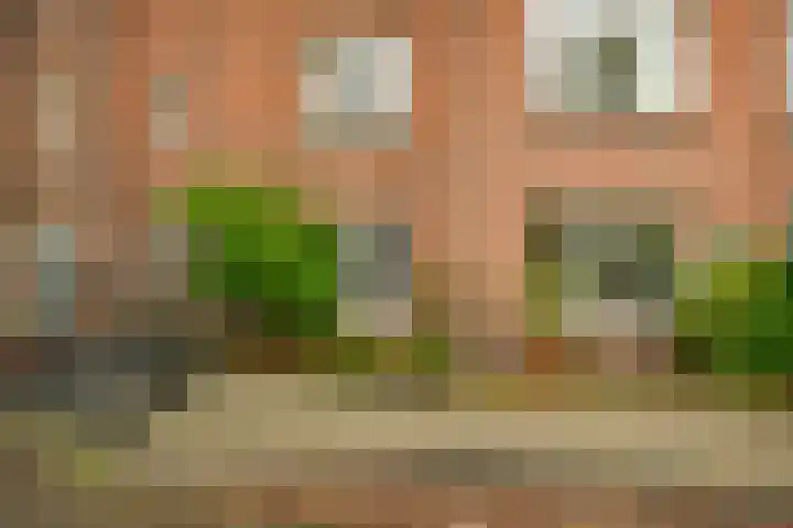 Ruysdaelkade 271 A Amsterdam thumbnail 17