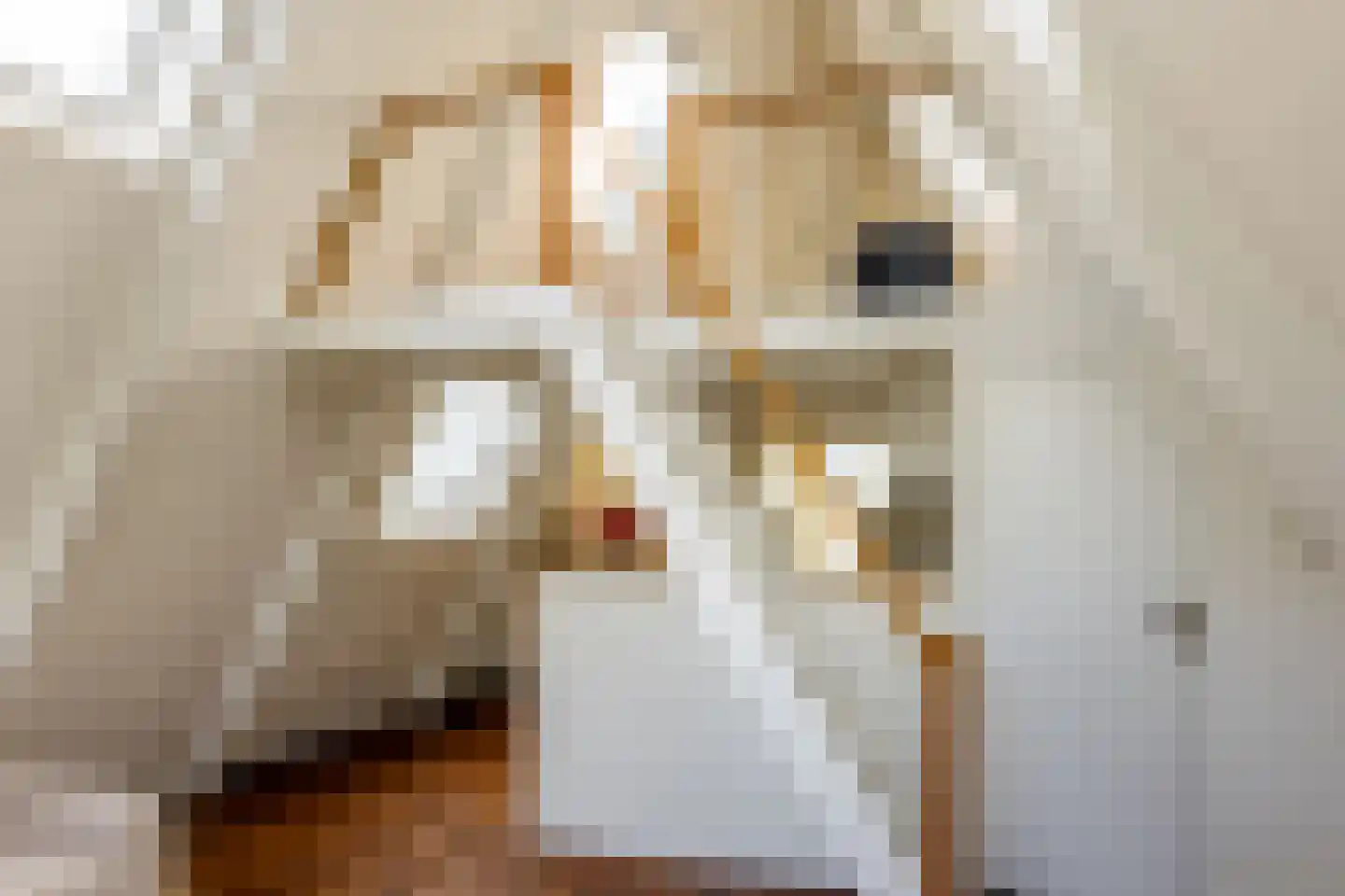 Ruysdaelkade 3 4 Amsterdam thumbnail 17