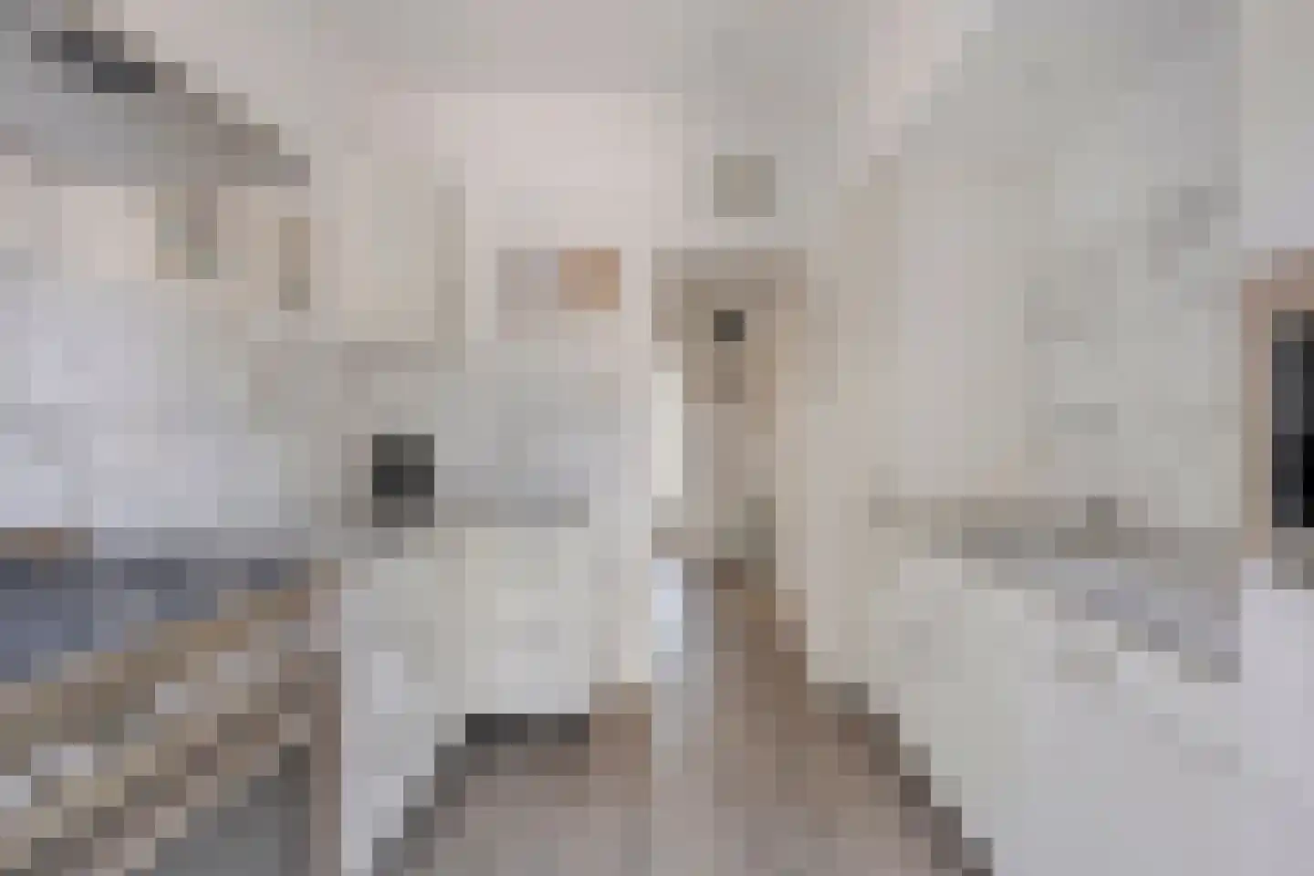 Ruysdaelkade 30 Alkmaar thumbnail 15