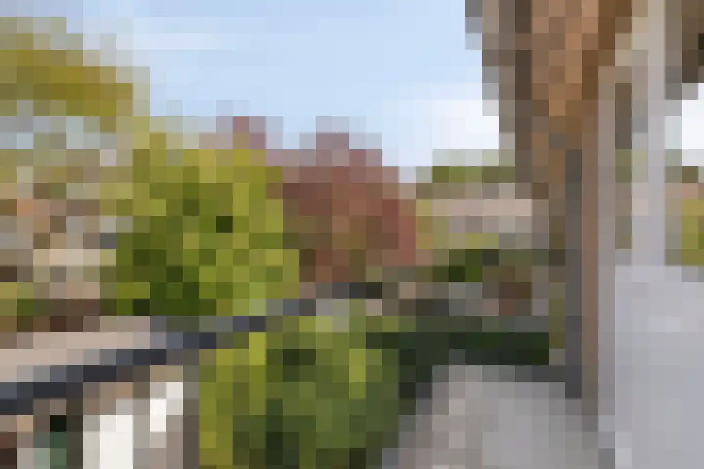Ruysdaelkade 30 Alkmaar thumbnail 25