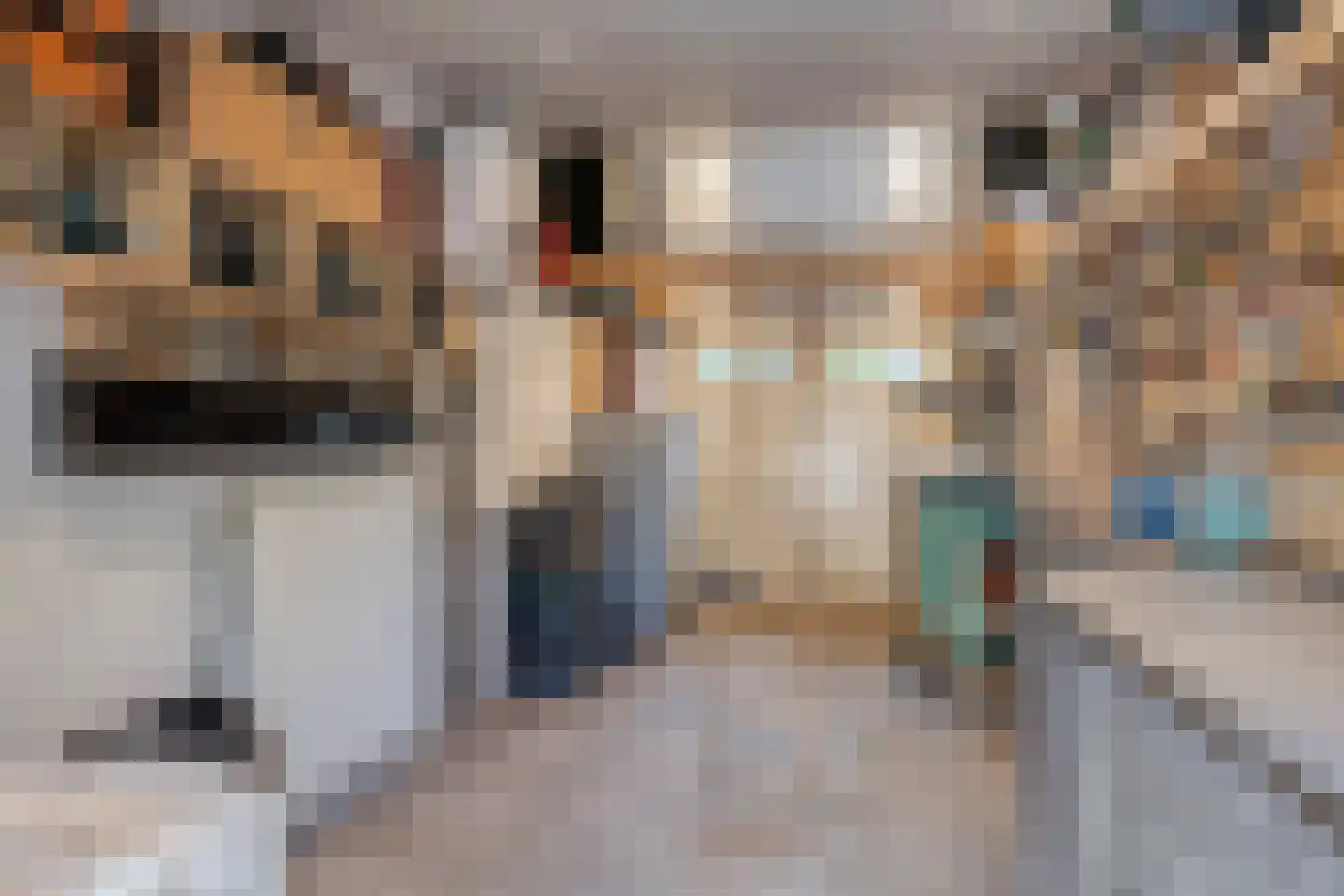 Ruysdaelkade 30 Alkmaar thumbnail 38