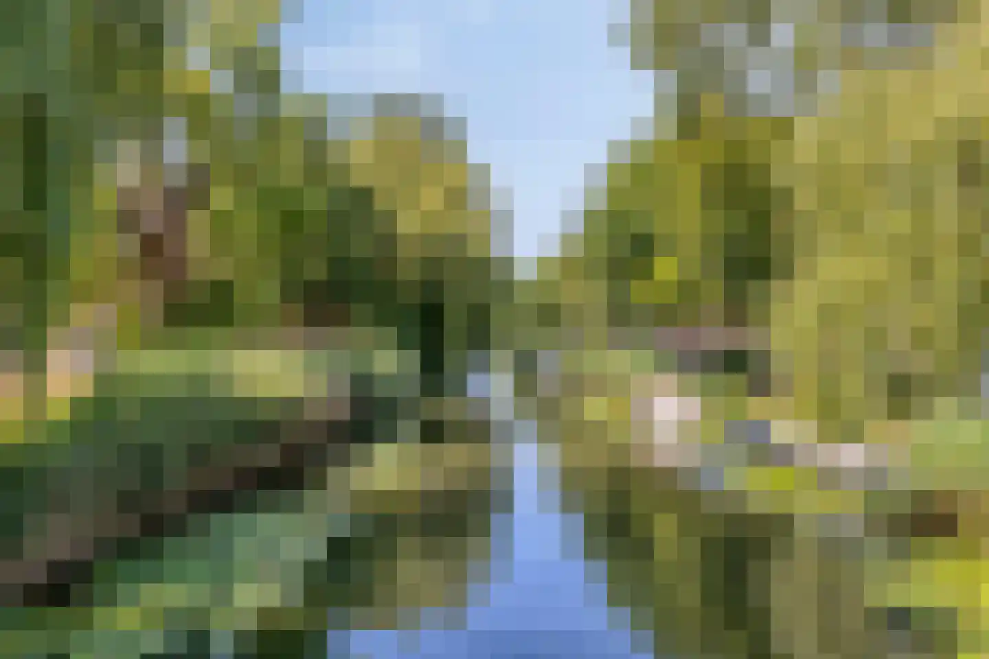 Ruysdaelkade 30 Alkmaar thumbnail 41