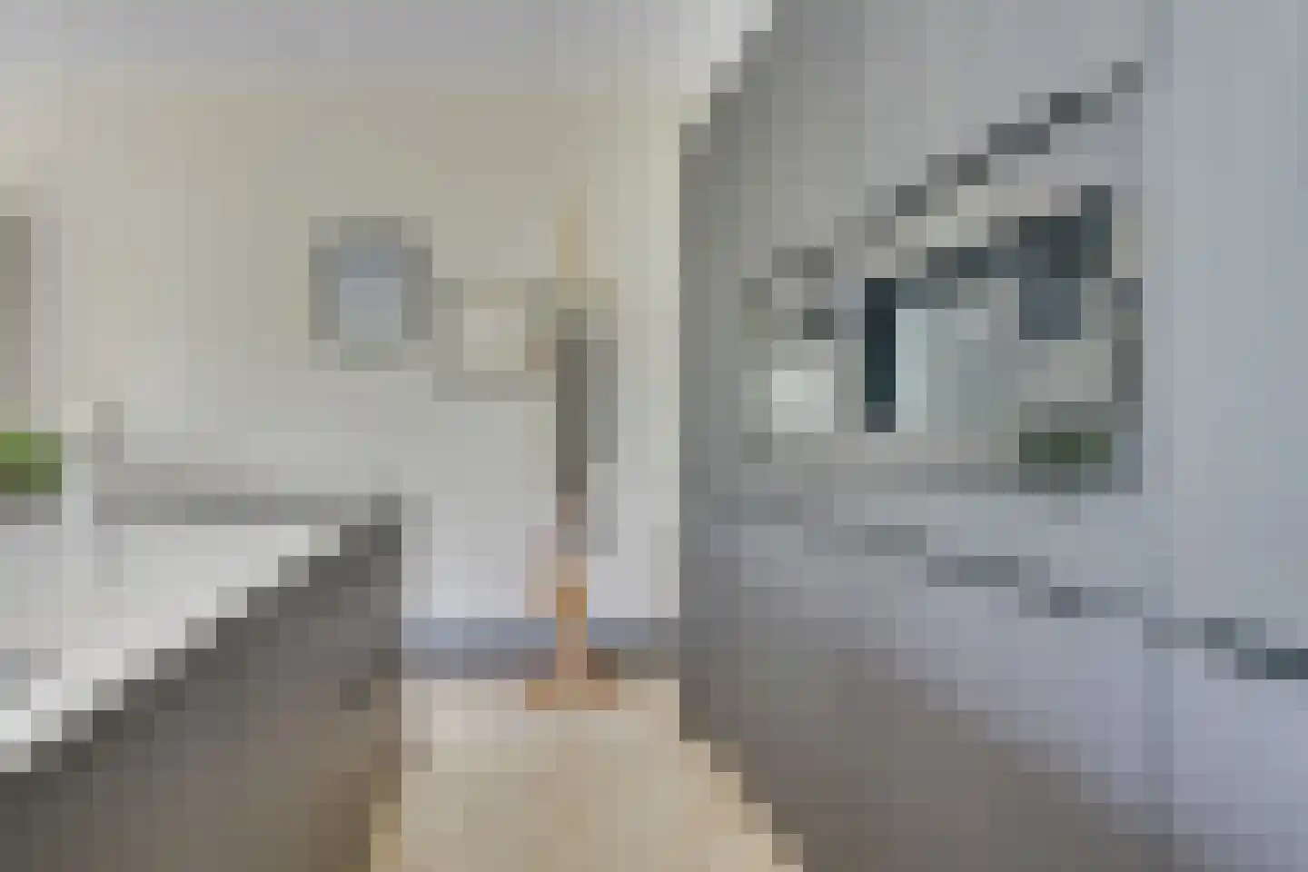 Ruysdaelkade 45 Alkmaar thumbnail 27