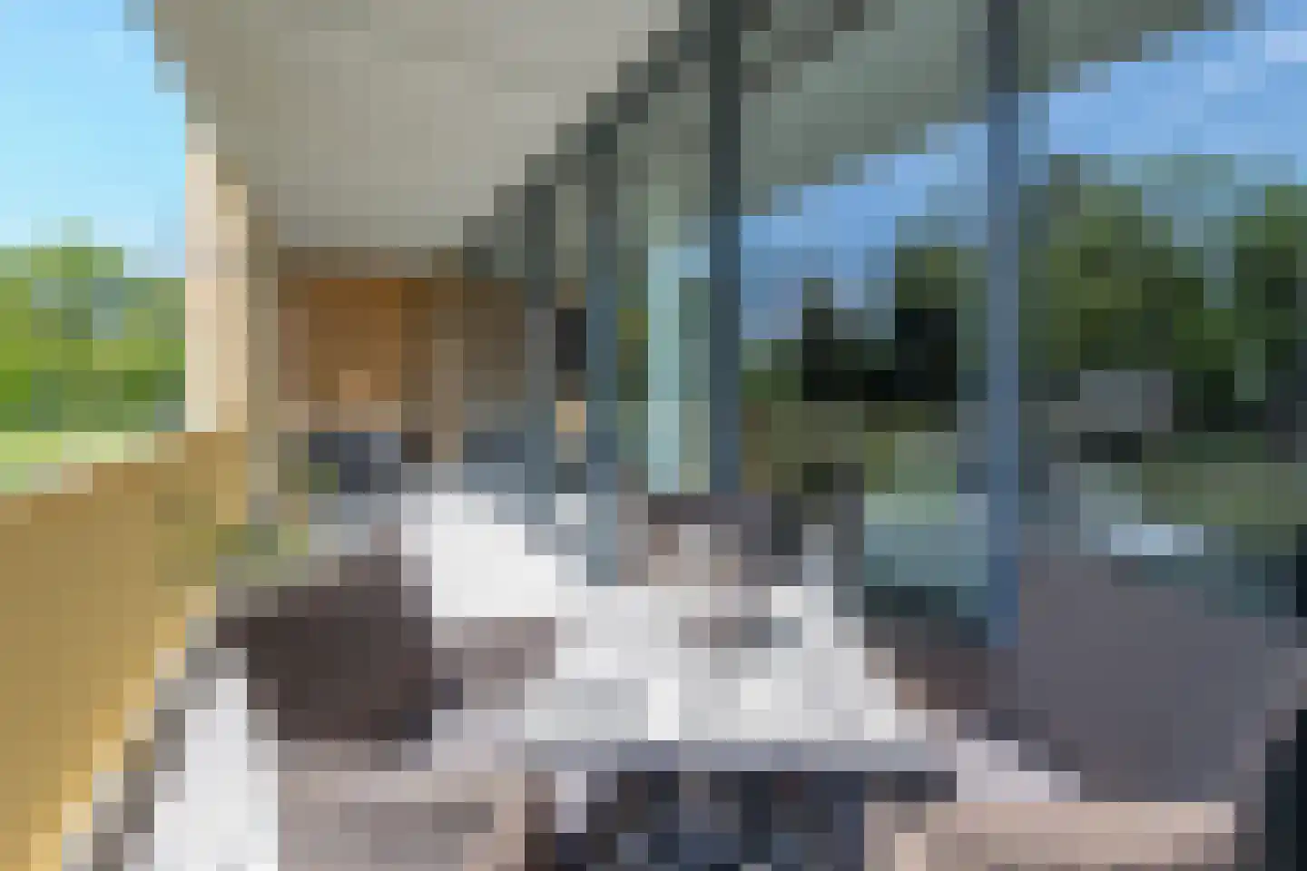 Ruysdaelkade 45 Alkmaar thumbnail 4