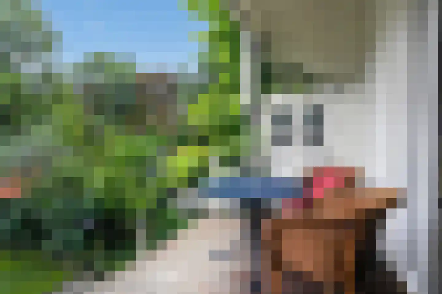 Ruysdaelkade 47 O Amsterdam thumbnail 17