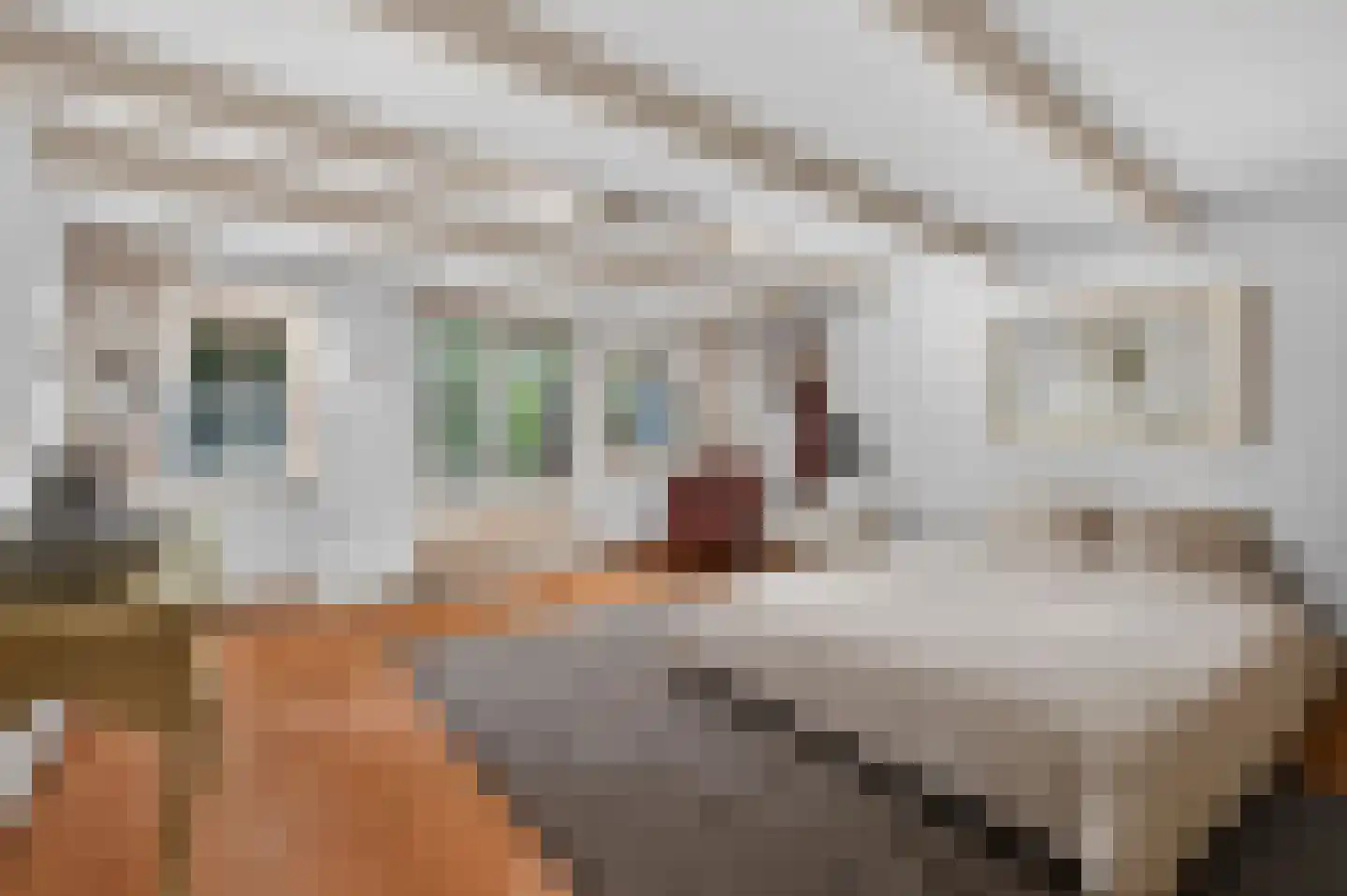 Ruysdaelkade 47 O Amsterdam thumbnail 20