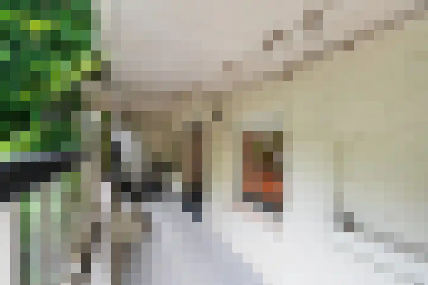 Ruysdaelkade 47 O Amsterdam thumbnail 23