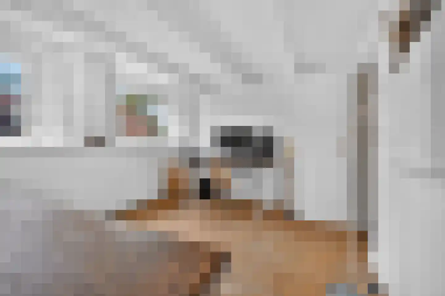 Ruysdaelkade 47 O Amsterdam thumbnail 31
