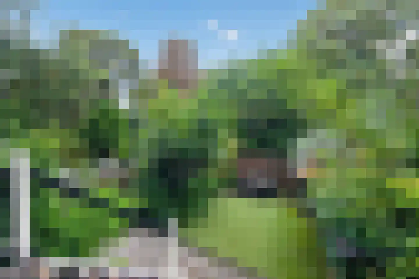 Ruysdaelkade 47 O Amsterdam thumbnail 4