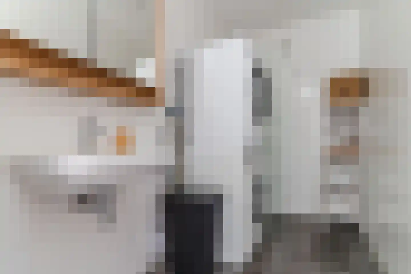 Ruysdaelkade 56 Alkmaar thumbnail 18