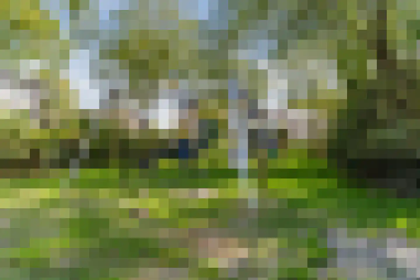 Ruysdaelkade 56 Alkmaar thumbnail 34