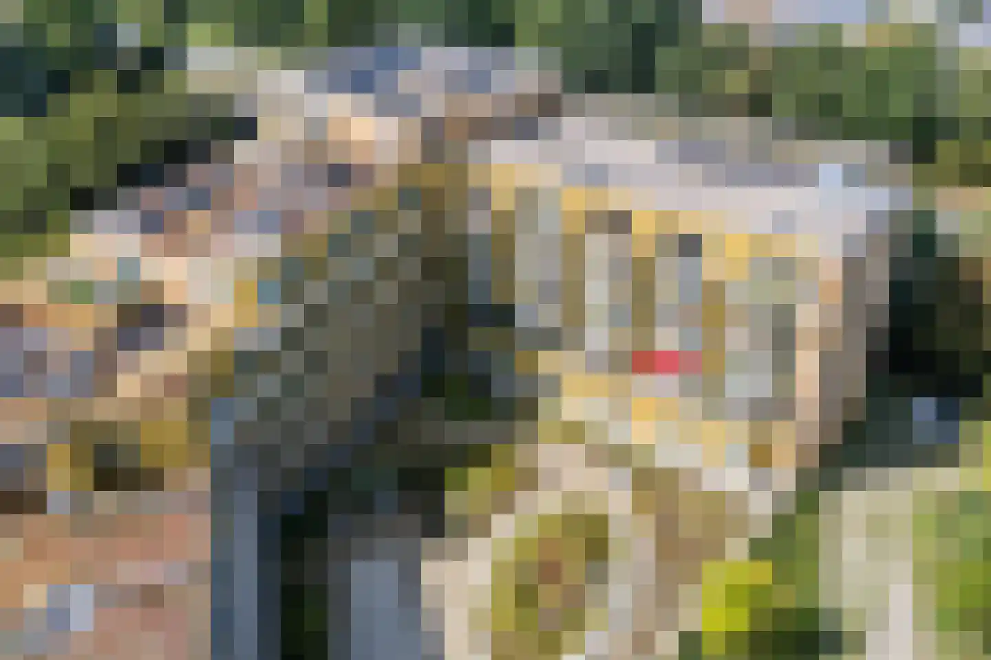 Ruysdaelkade 56 Alkmaar thumbnail 35