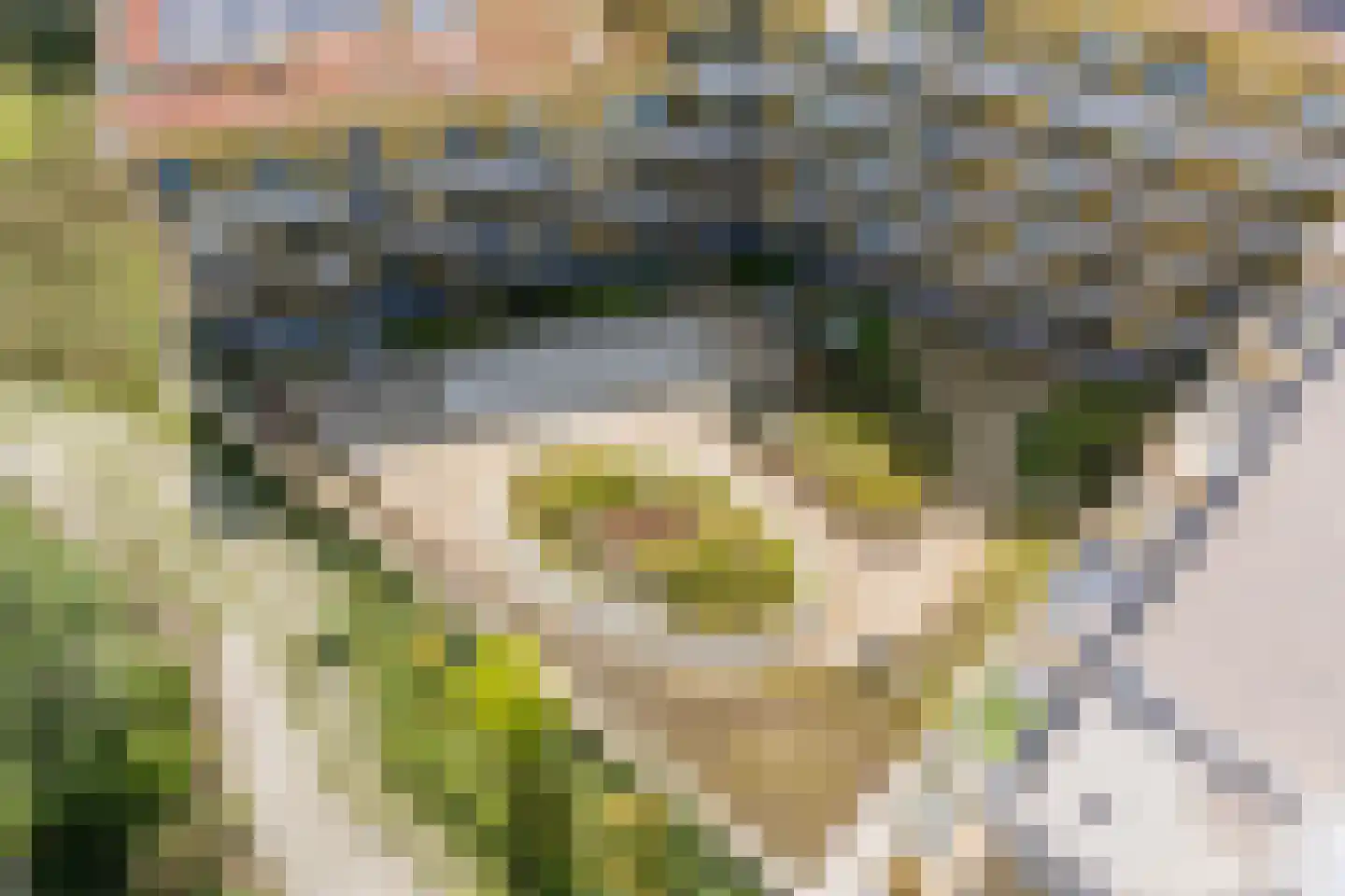 Ruysdaelkade 56 Alkmaar thumbnail 36