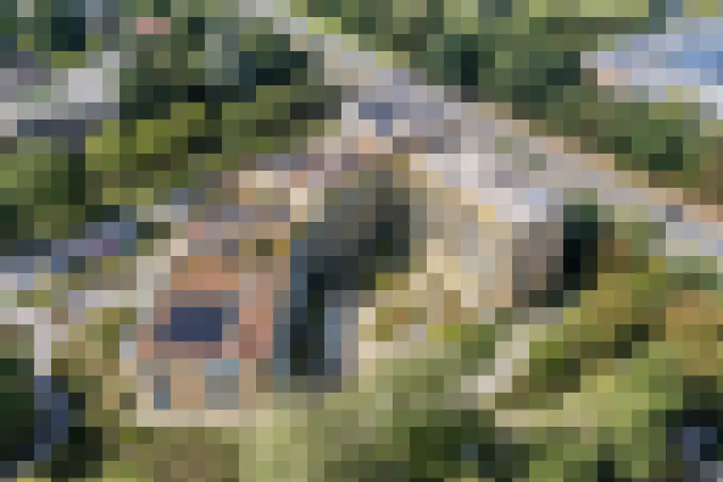 Ruysdaelkade 56 Alkmaar thumbnail 37