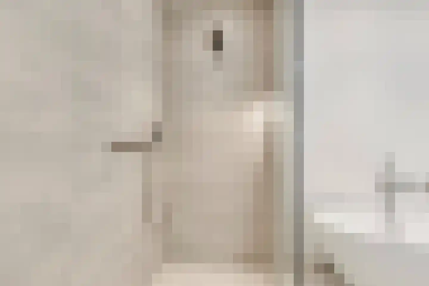 Ruysdaelkade 61 Alkmaar thumbnail 35