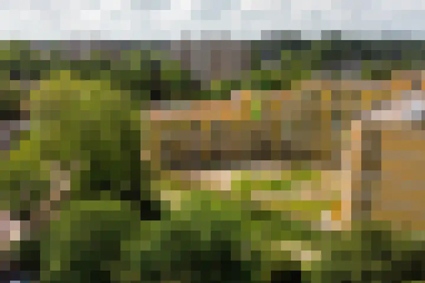 Ruysdaelkade 61 Alkmaar thumbnail 46
