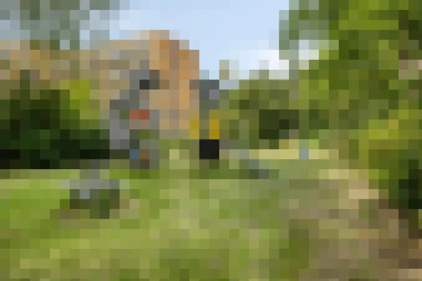 Ruysdaelkade 61 Alkmaar thumbnail 49