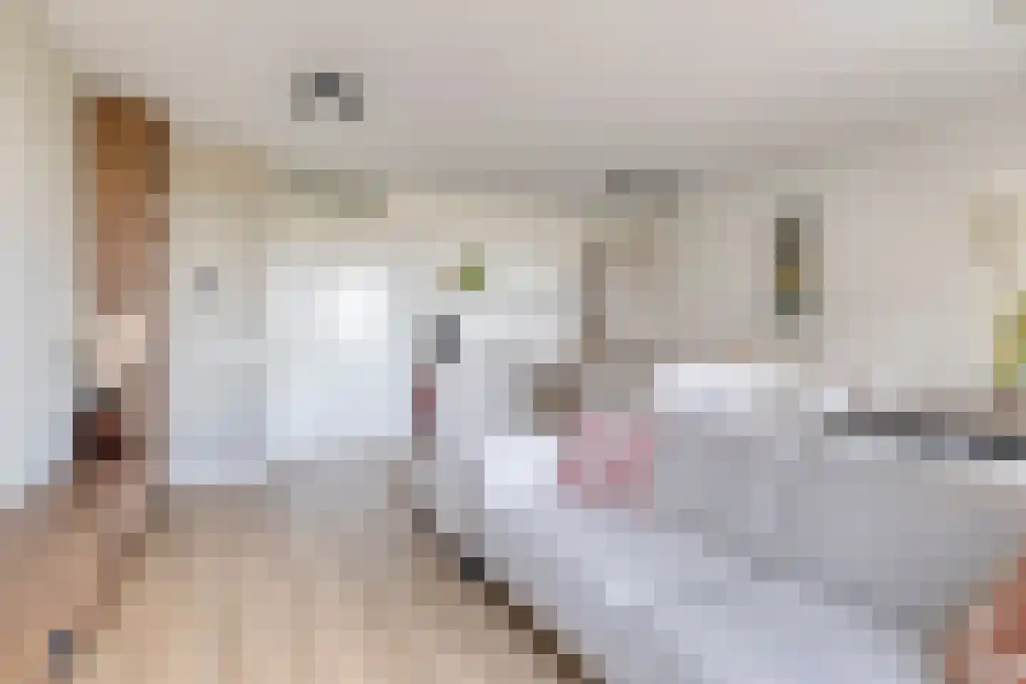 Ruysdaelkade 78 Alkmaar thumbnail 15