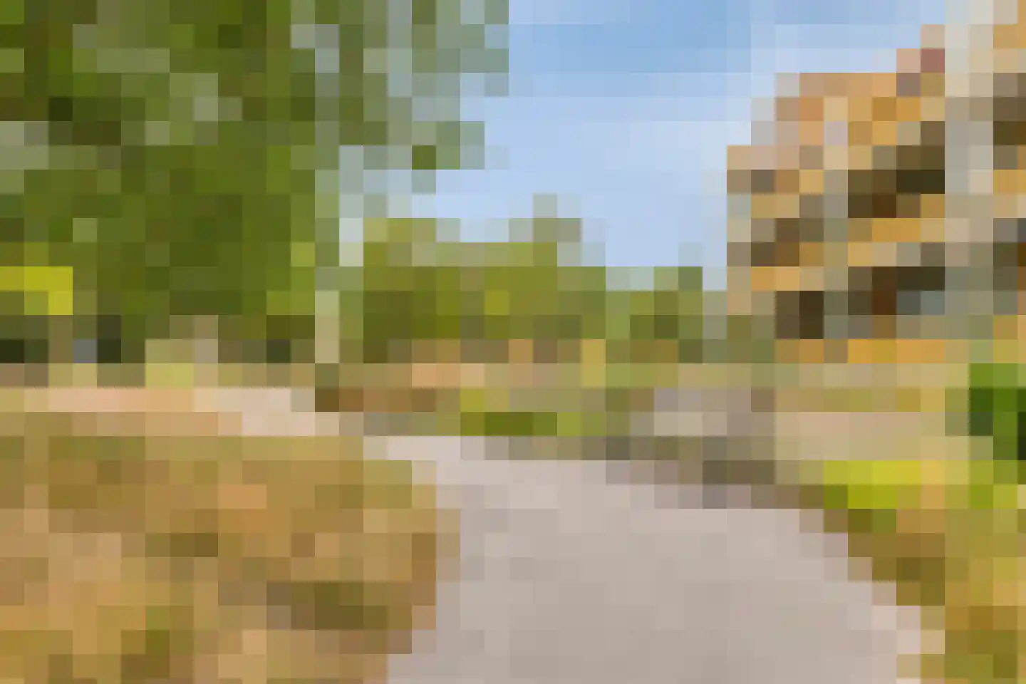 Ruysdaelkade 78 Alkmaar thumbnail 31