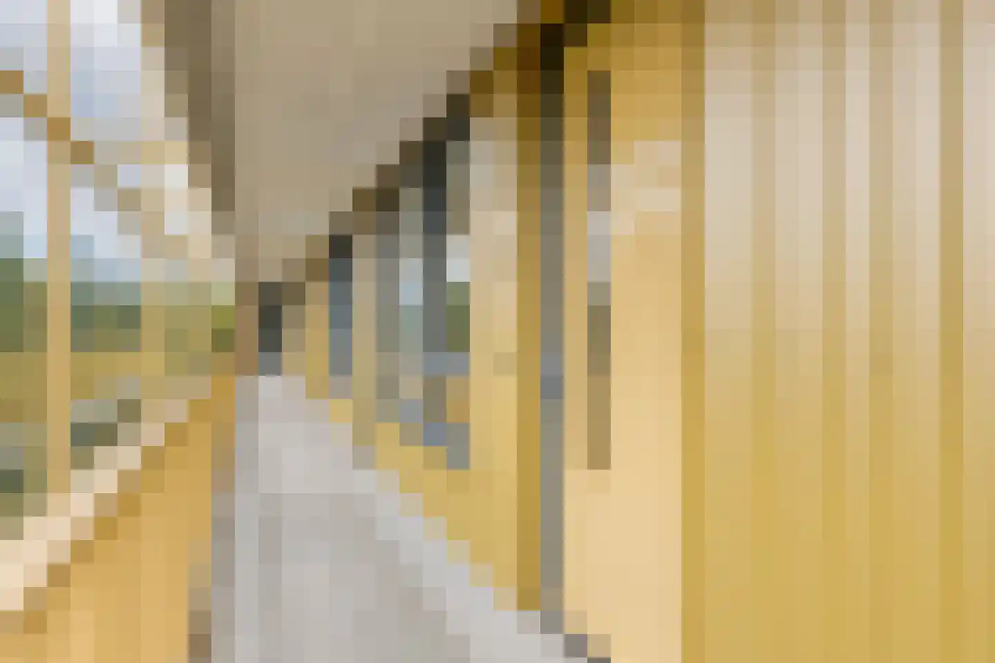 Ruysdaelkade 78 Alkmaar thumbnail 8