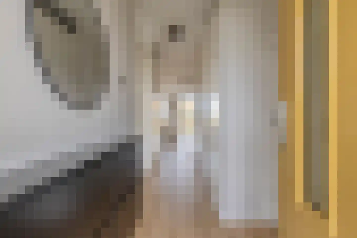 Ruysdaelkade 78 Alkmaar thumbnail 9