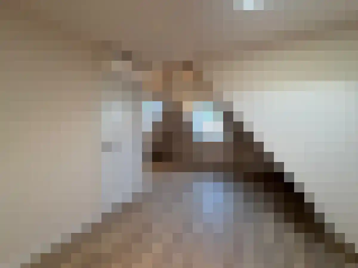 Ruysdaelkade 85 4 Amsterdam thumbnail 5