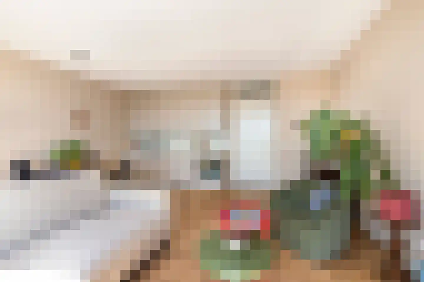 Ruysdaelkade 88 Alkmaar thumbnail 19