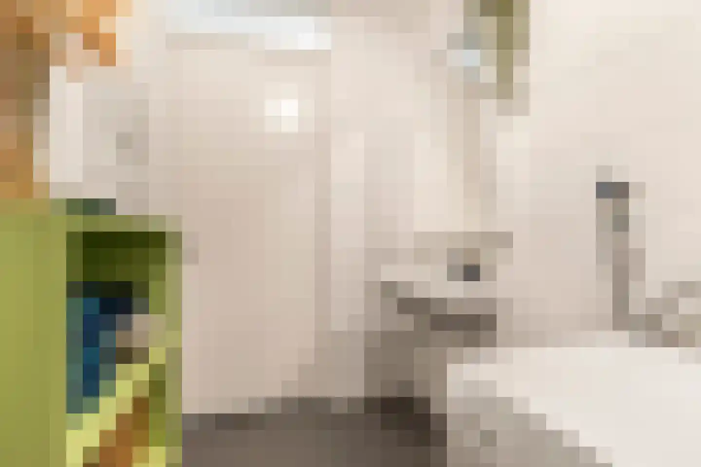 Ruysdaelkade 88 Alkmaar thumbnail 23