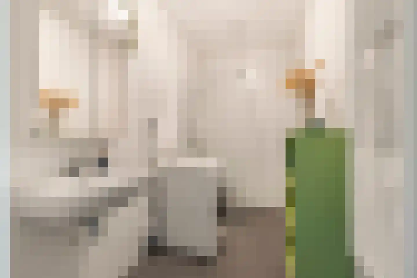 Ruysdaelkade 88 Alkmaar thumbnail 24