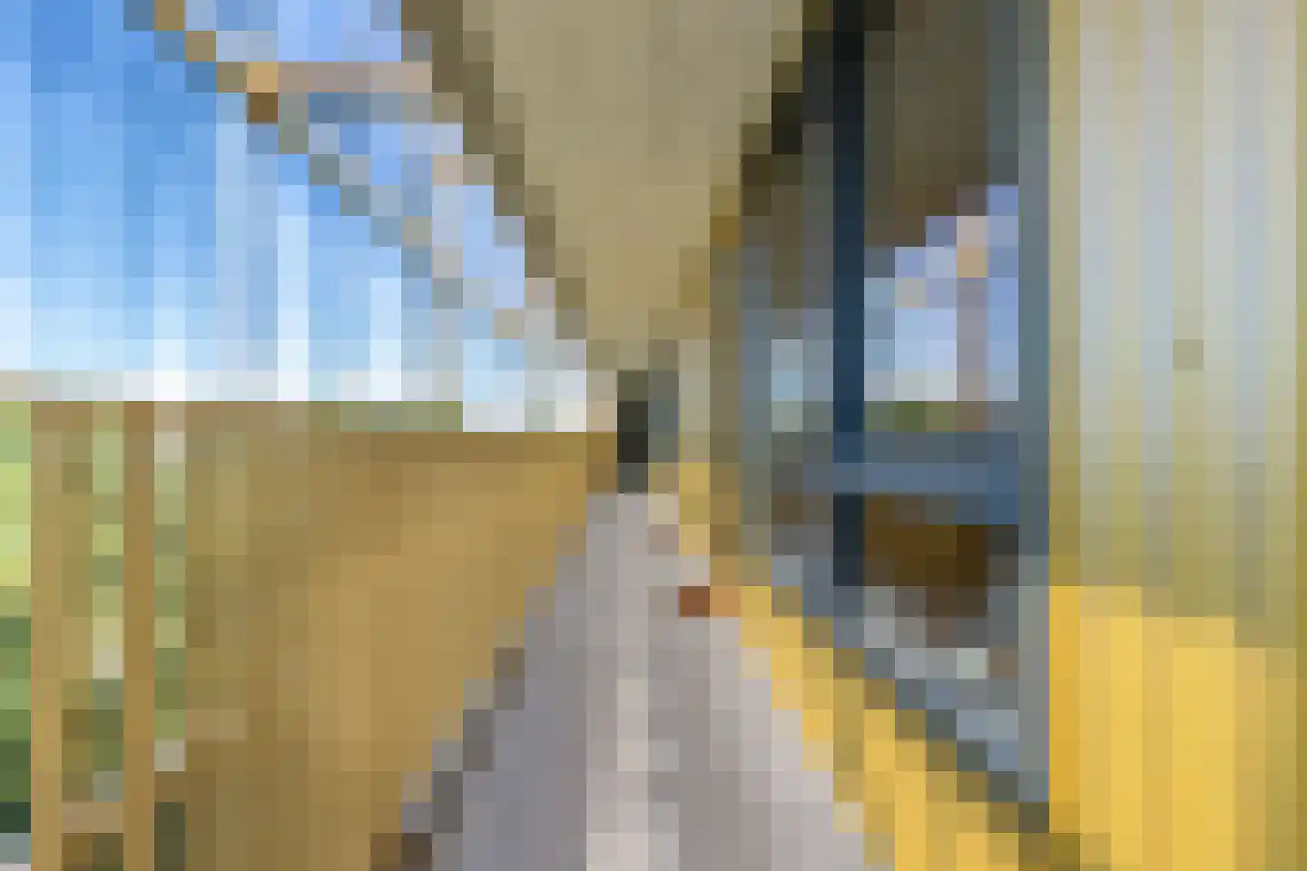 Ruysdaelkade 88 Alkmaar thumbnail 38