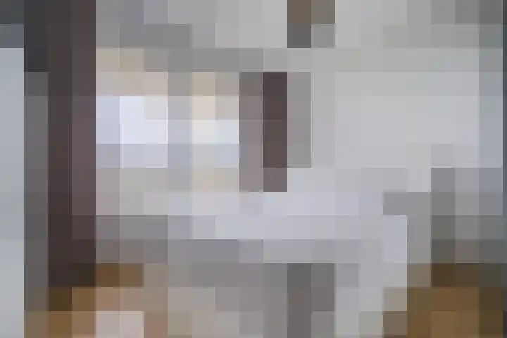 Ruysdaelkade 89 Alkmaar thumbnail 32