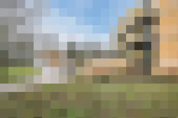 Ruysdaelkade 89 Alkmaar thumbnail 40