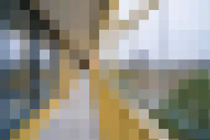 Ruysdaelkade 89 Alkmaar thumbnail 6