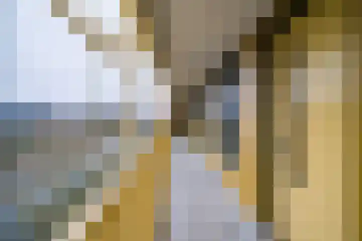 Ruysdaelkade 89 Alkmaar thumbnail 7