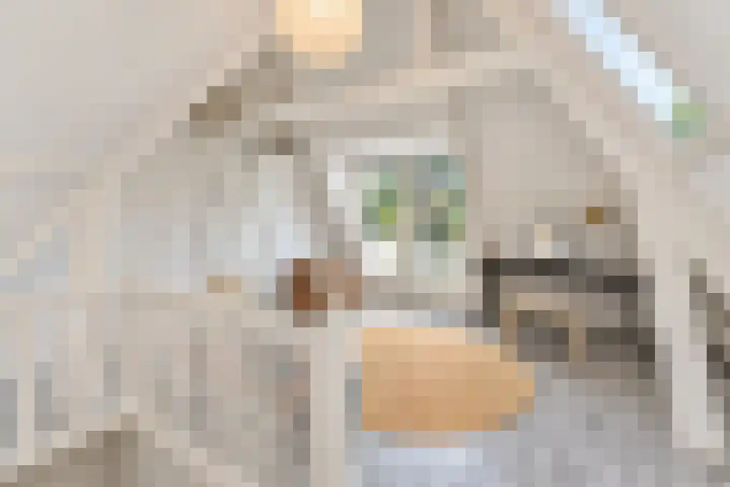 Ruysdaellaan 12 Hilversum thumbnail 44