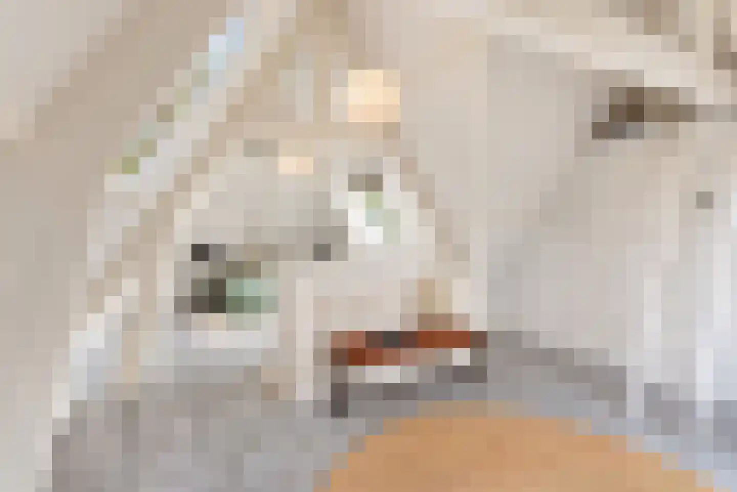Ruysdaellaan 12 Hilversum thumbnail 49
