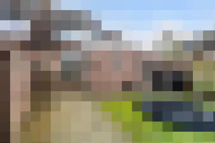 Ruysdaellaan 15 Nijkerk thumbnail 15