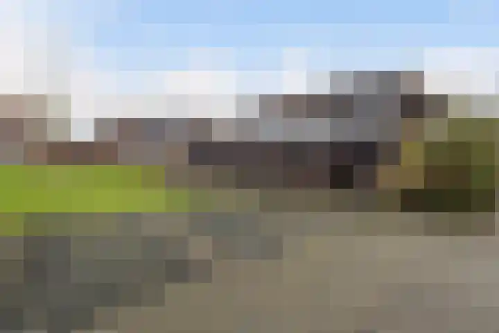 Ruysdaellaan 15 Nijkerk thumbnail 16