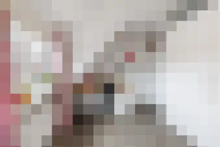 Ruysdaellaan 15 Nijkerk thumbnail 25