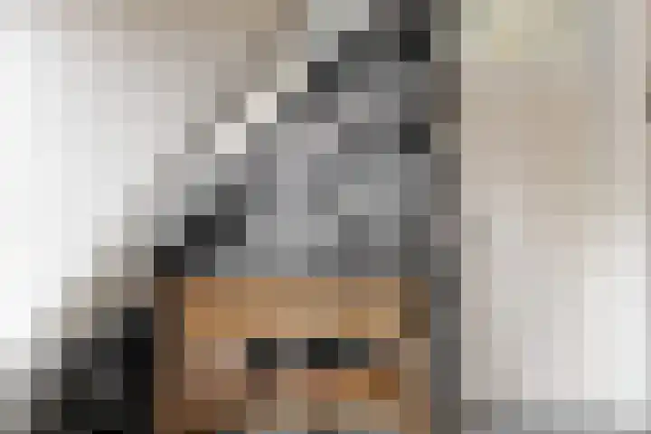 Ruysdaellaan 2 Bilthoven thumbnail 31
