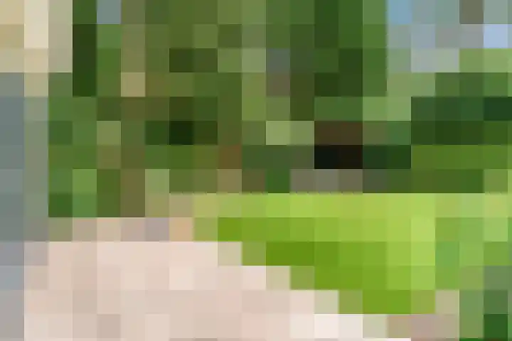 Ruysdaellaan 2 Bilthoven thumbnail 42