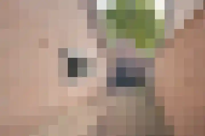 Ruysdaellaan 20 Nijkerk thumbnail 10