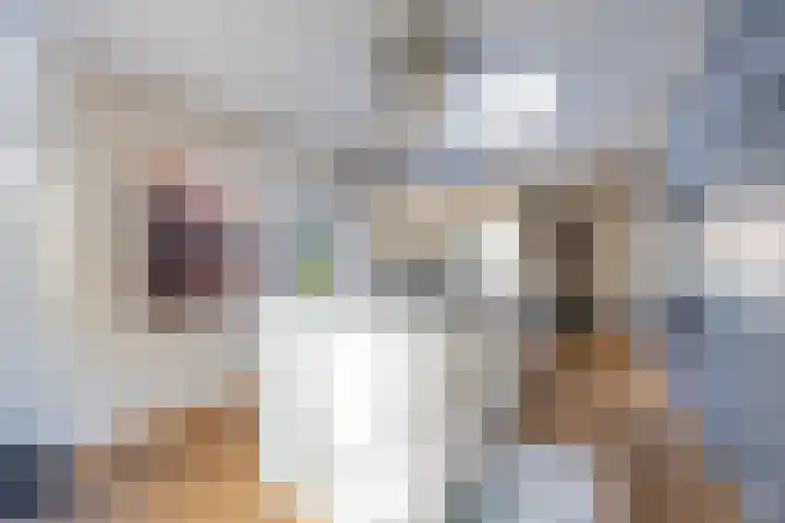 Ruysdaellaan 20 Nijkerk thumbnail 23