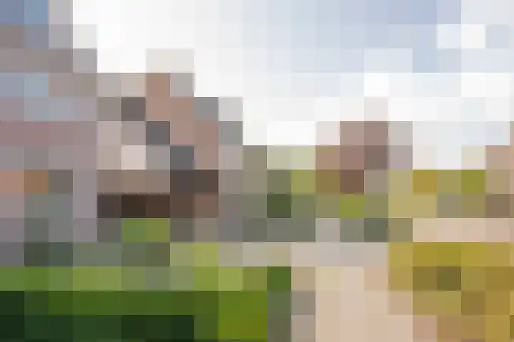 Ruysdaellaan 20 Nijkerk thumbnail 4