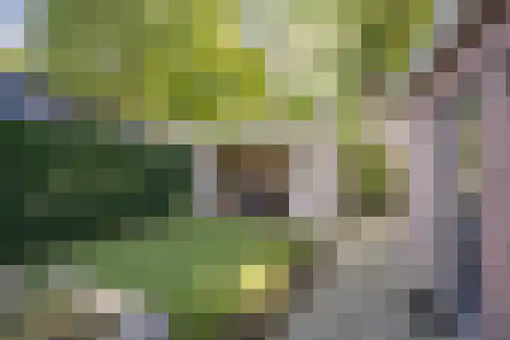 Ruysdaellaan 20 Nijkerk thumbnail 43